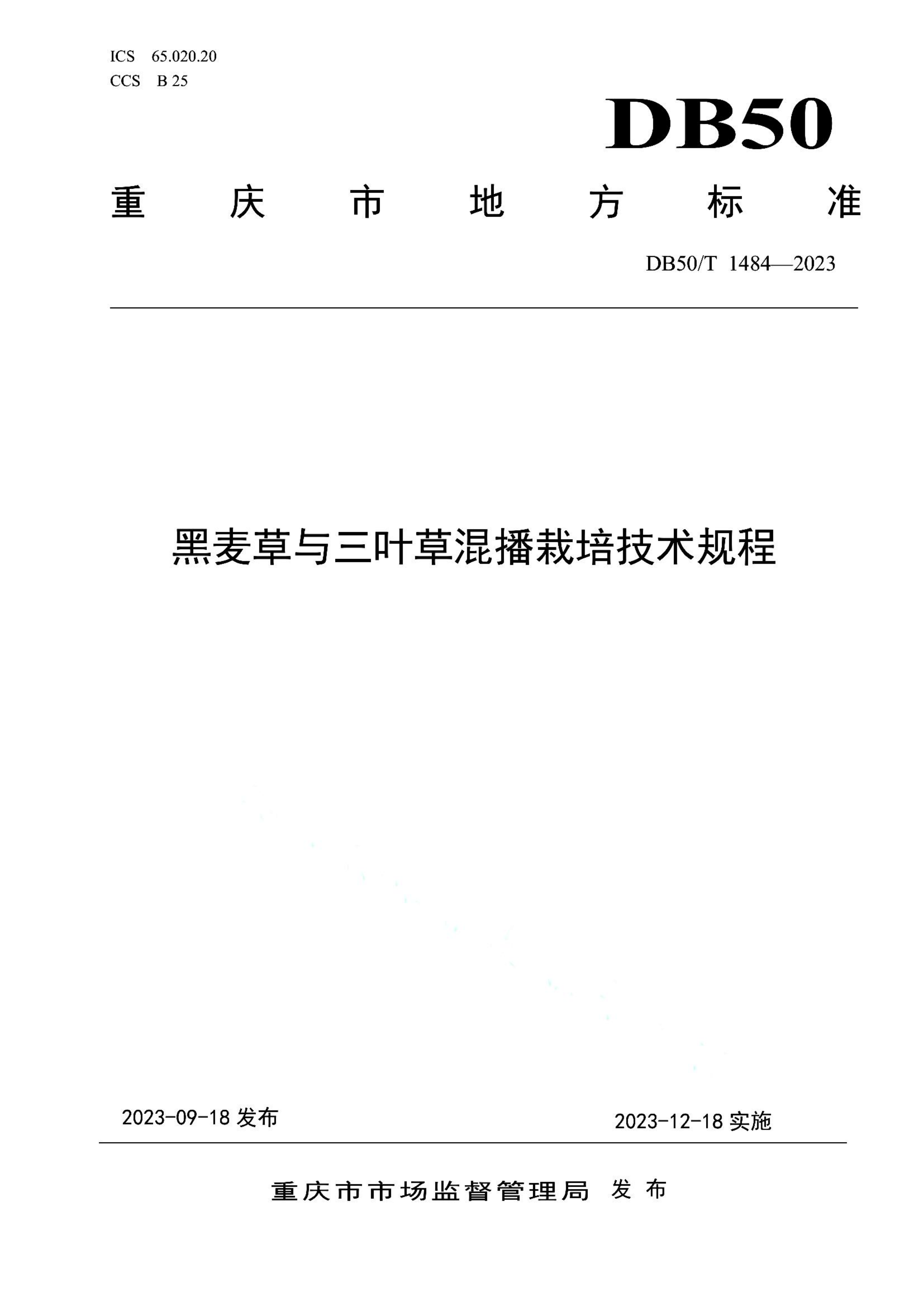 资源详情图